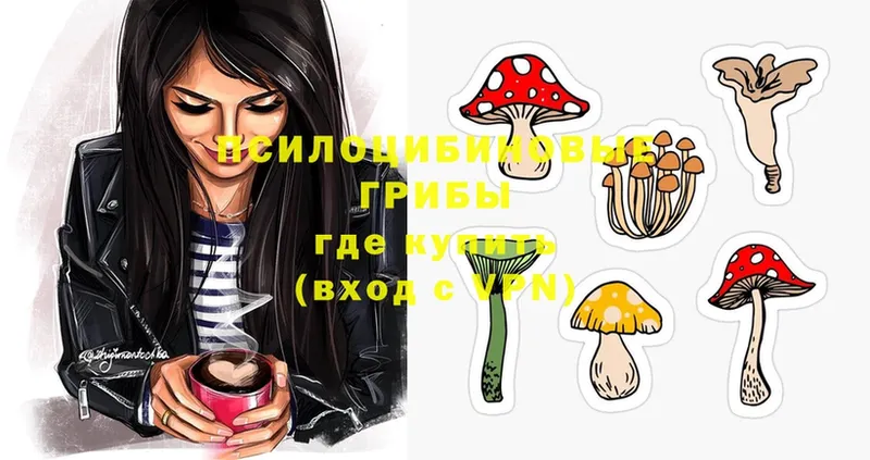 Галлюциногенные грибы Magic Shrooms  Гаврилов-Ям 